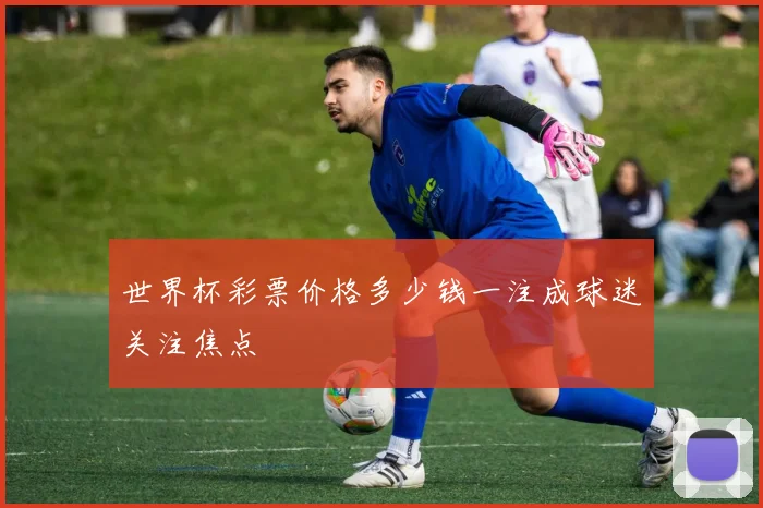 世界杯彩票价格多少钱一注成球迷关注焦点