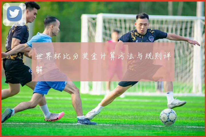 世界杯比分奖金计算方法与规则详解