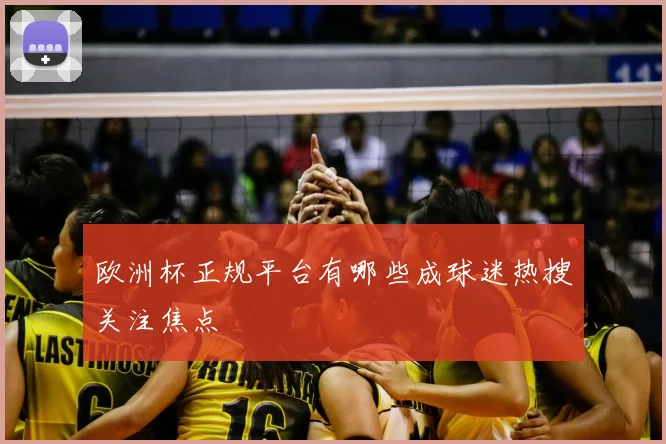 欧洲杯正规平台有哪些成球迷热搜关注焦点