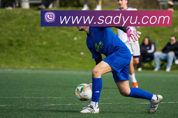 半岛在线登陆全站App 半岛在线登陆全站App